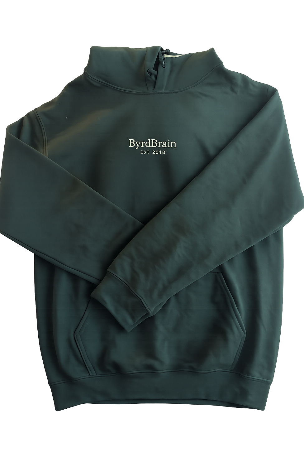 Byrd Brain Hoodie