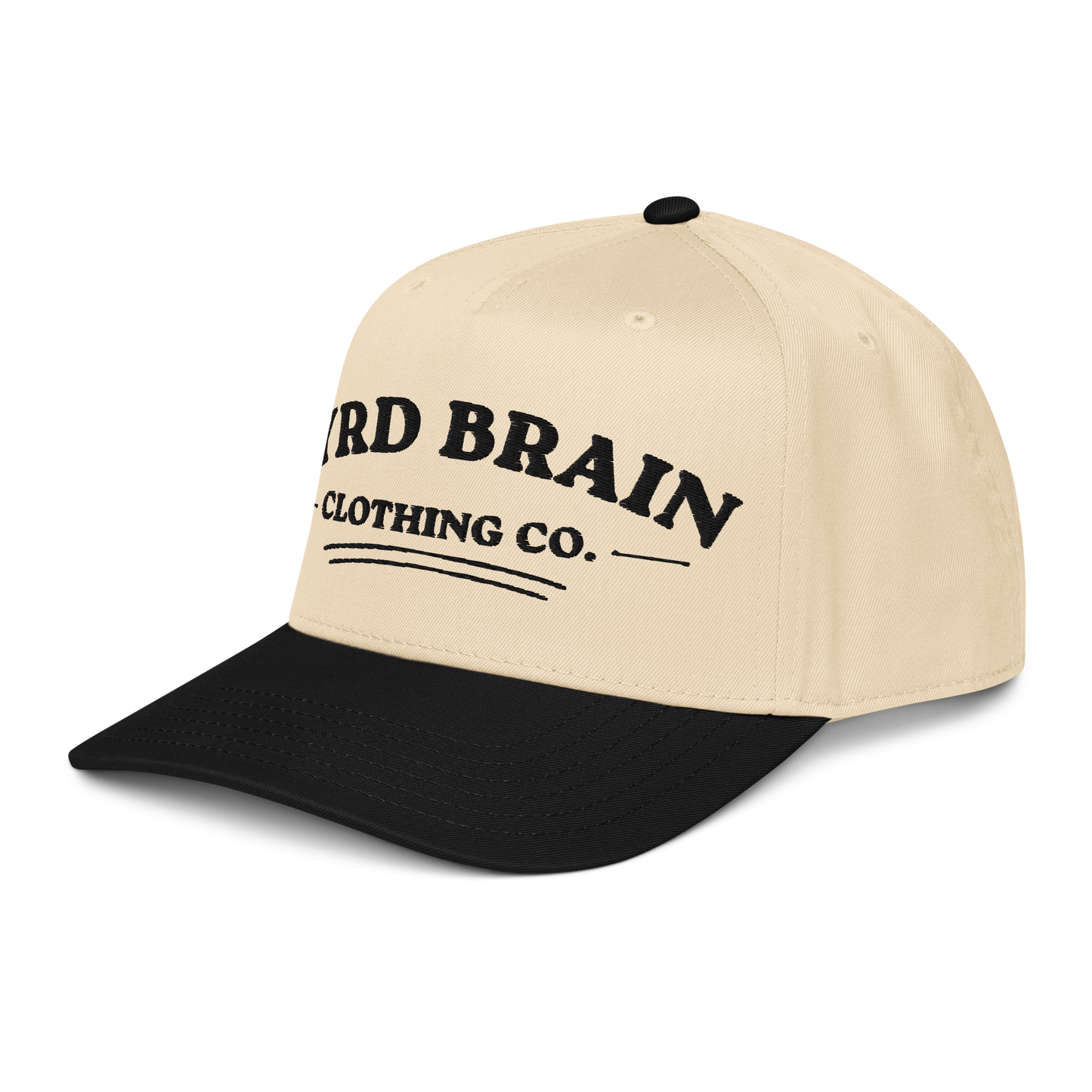 Byrd Brain Hat - Black