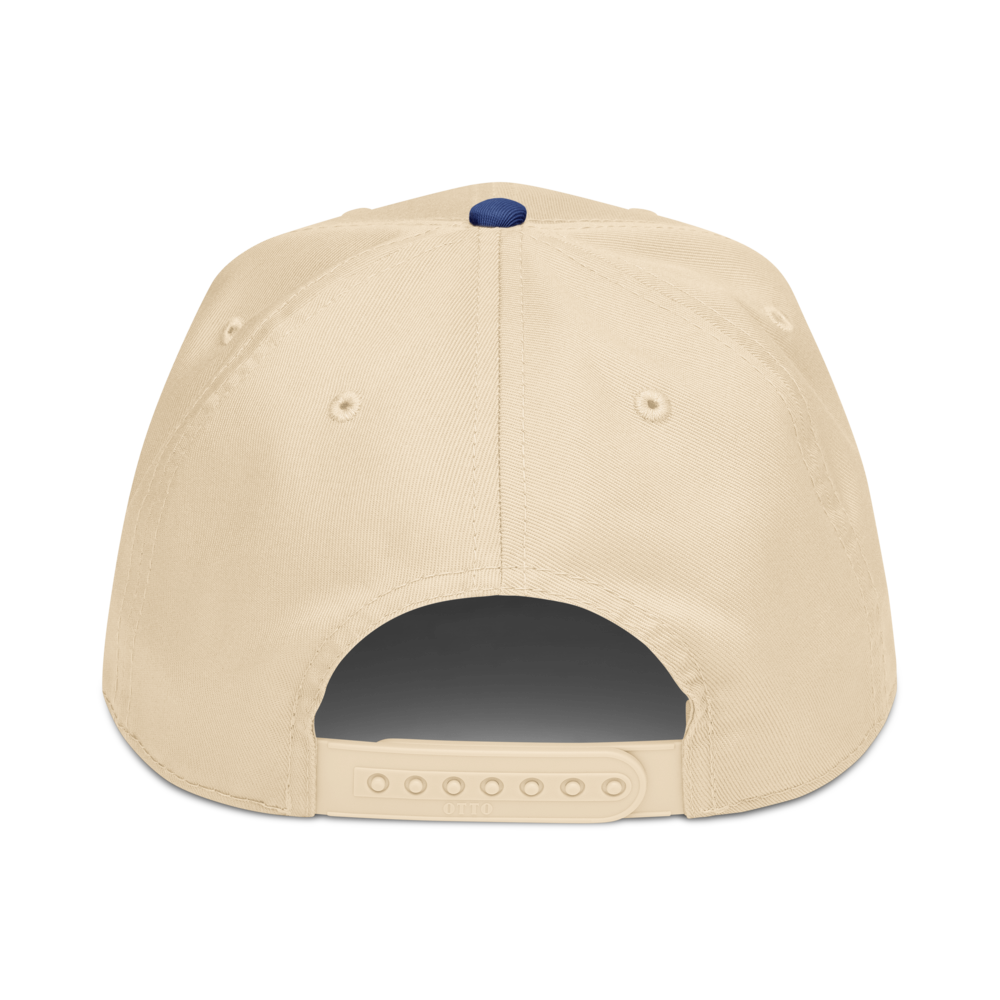 Byrd Brain Hat - Blue